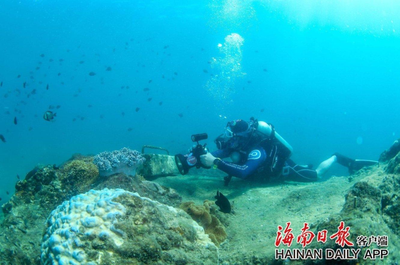 芭比娃娃的服装