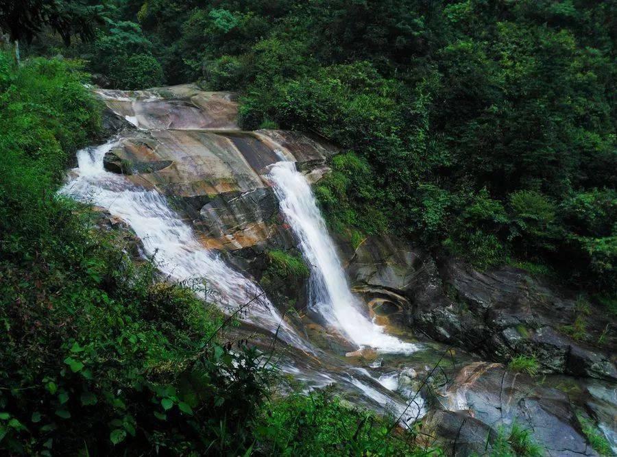 寂静岭：暴雨